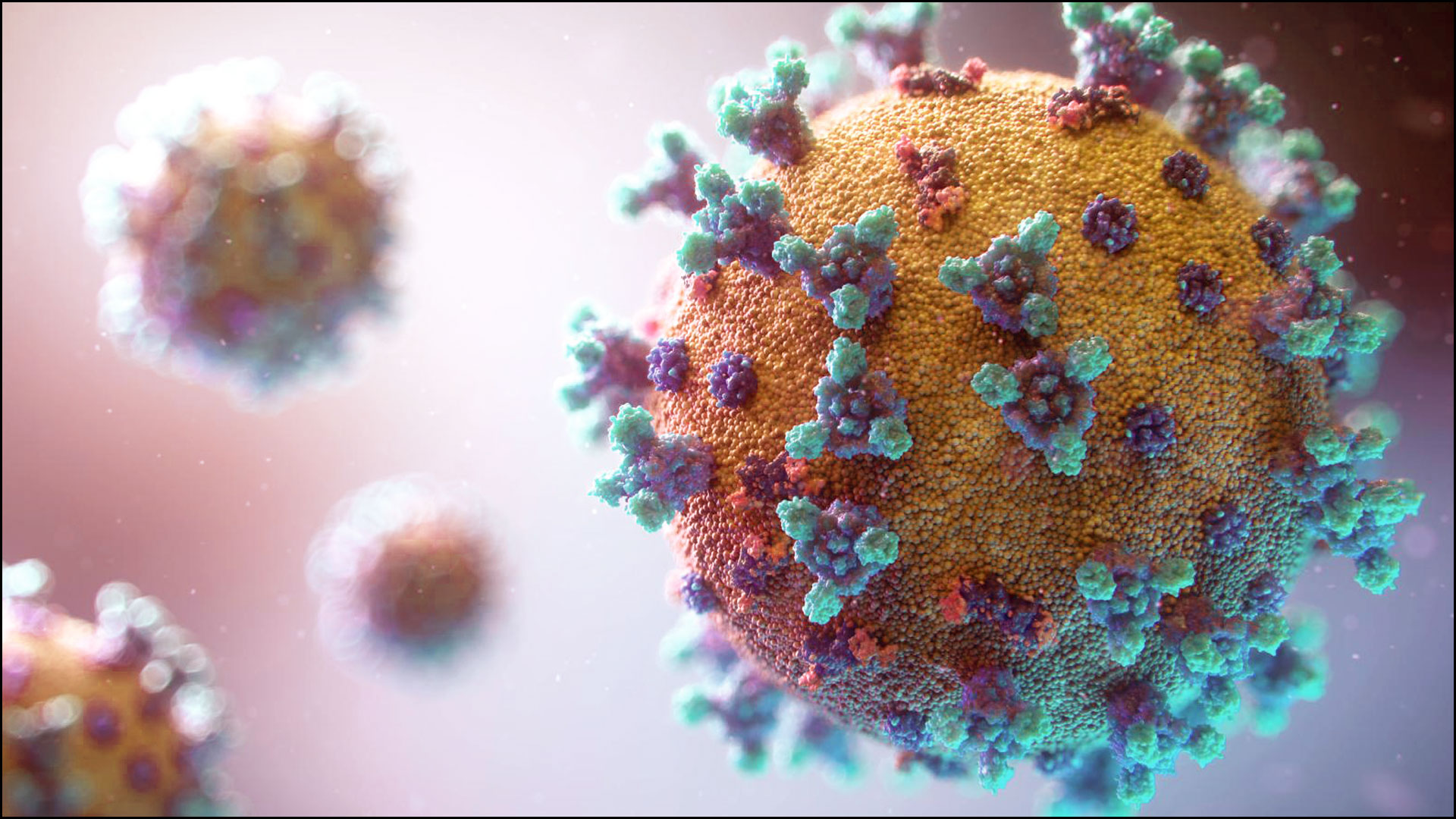1920_x_1080_virus_tweaks