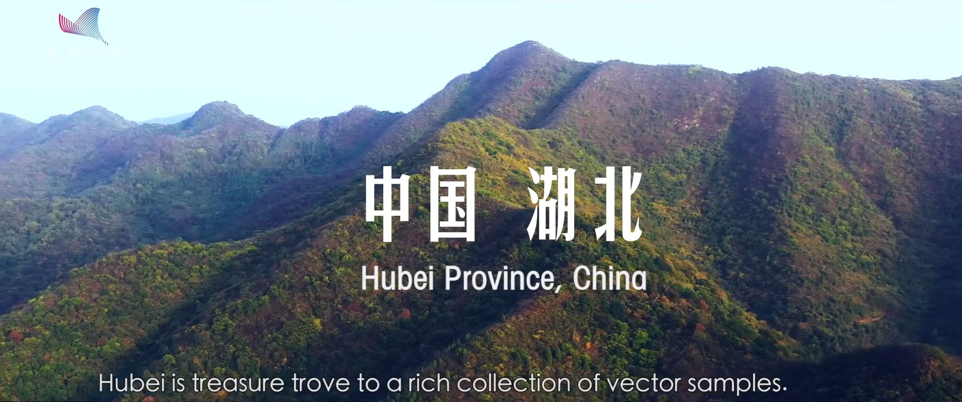 Youth-in-the-Wild---Invisible-Defender_Hubei_province