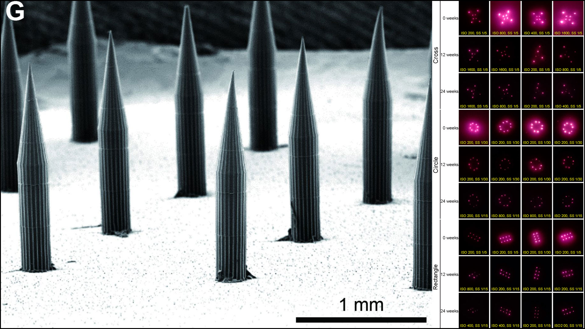 1920_x_1080_quantum_dot_micro_needle