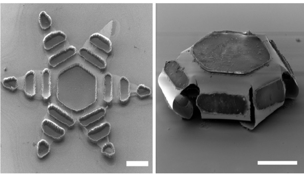 theragrippers nanotech medicine delivery